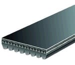 1455L16 Poly V-Belt