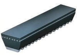 15445 Auto V-Belt - $4.82