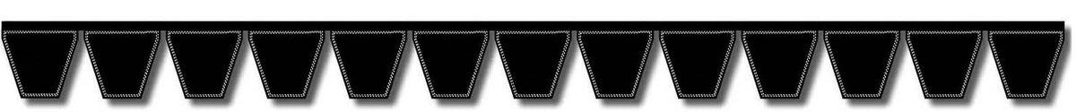 B173/13 Banded V-Belt