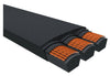 8/B300 JASON Belt, Banded Classical RB, RC, RD