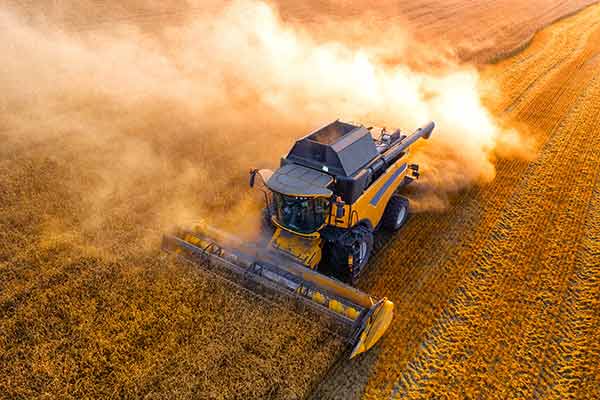Agriculture Belts