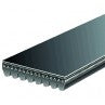 220J7 Poly V-Belt