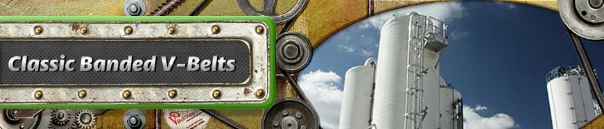 D Section Banded V-Belts D Section Banded V-Belts