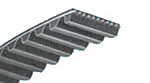 XL Timing Belt