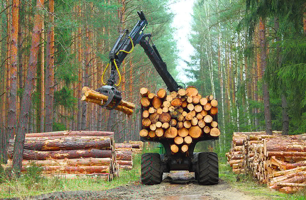 forwarder belts forwarder belts